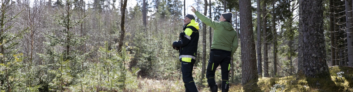 Två personer står på en stig i skogen och diskuterar.